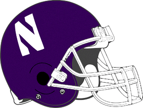 Northwestern Wildcats 1981-1992 Helmet Logo iron on transfers for clothing